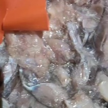 牛蛙