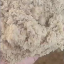 混合发酵豆腐渣《货源充足量大从优对接全国欢迎咨询