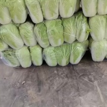 精品大白菜