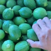 一级果，70-180克