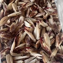 小梭子蟹钳