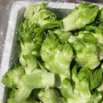 精品儿菜