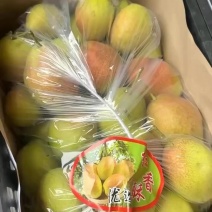 精品红香酥，大量有货，需要的老板联系