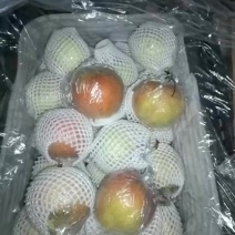 梨中爱马仕，玉露香梨，大量有货，需要的联系