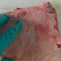 牛大脸肉