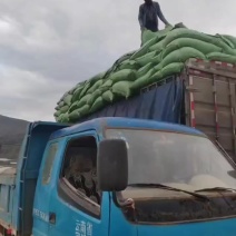 早上好！打包稻壳到达云南卸货中！