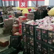 山西红富士苹果