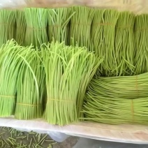 天天要精品天天要精品精品来了二茬芦蒿整个云南比这好货找不着