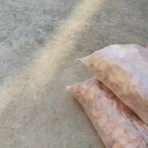 地瓜片
