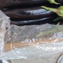 茄子