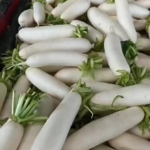 蔬菜