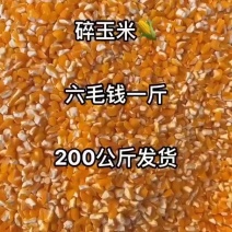 广东出售鸡鸭牛羊猪饲料