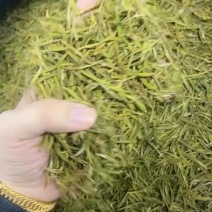 黄金芽批发