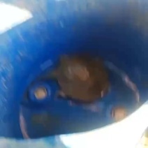 六年中华老鱼，2~6斤都有货够老，包不炸边包爽口弹牙