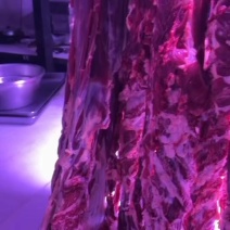 广西鲜黄牛肉