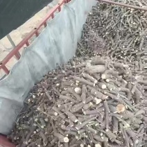 枣木快