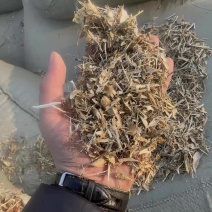 揉丝豆秸草