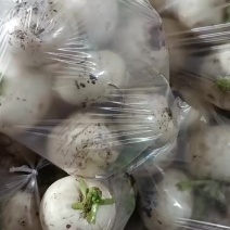 蔬菜