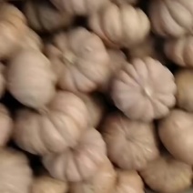 盘龙204