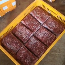 鸽胗便宜出货2吨