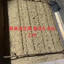 熟芝麻