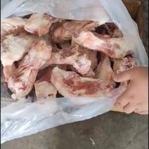 肥猪前腿骨