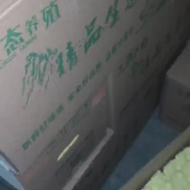 生态养殖+精品生态蛋