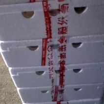 泡沫盒装鲜鸭蛋，鹅蛋，可对接微商，跑江湖，旅销等