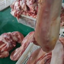 带根牛舌
