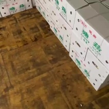 塘菇，茨菇，出口茨菇，出口马来西亚，直径不低于4公分