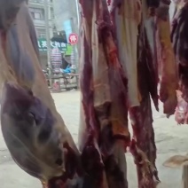 广西百色靖西土黄牛肉，
