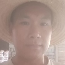 鸽子蛋