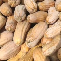 南瓜