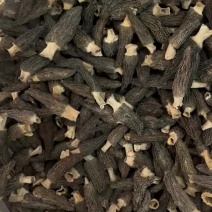 6-9精品羊肚菌