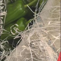 薄皮椒，厚皮椒都有
