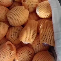 人参果