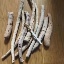川白芍干条