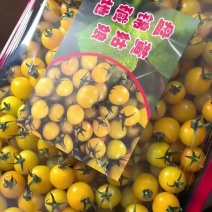 盘锦碱地柿子黄姑娘产地直发口感好品相好量大来谈
