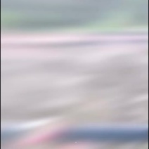 段木黑木耳种植。