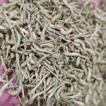 金银花