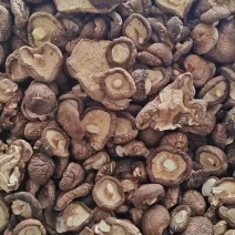干香菇可代发电商件