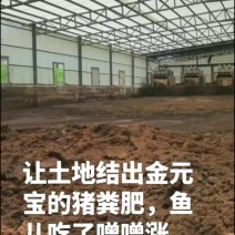 汕尾市海丰县湿猪粪长期供应，种植肥地养鱼廉价精品
