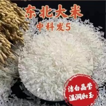 东北五常餐饮米，质量好，长粒香大米。绝价。