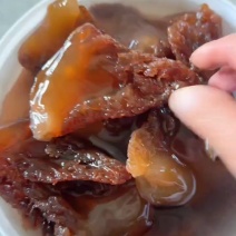 红头单角