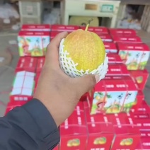 香梨