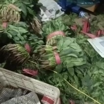 菠菜