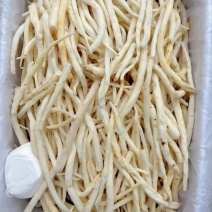 川明参金堂产地直销无中间环节，规格齐全欢迎咨询
