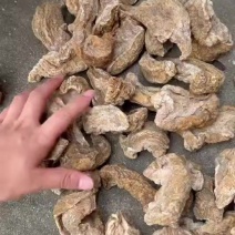 咸菜干，芥菜干