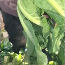 实花