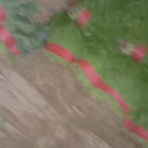 精品茴香，价格合适大量现货